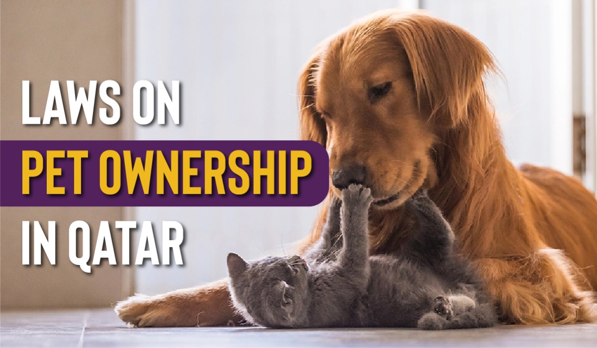 Laws on Pet Ownership in Qatar